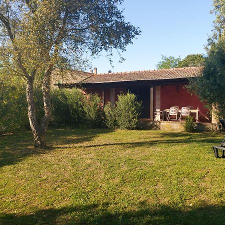 Tenuta Santa Maria Villa Campagnatico Exterior foto