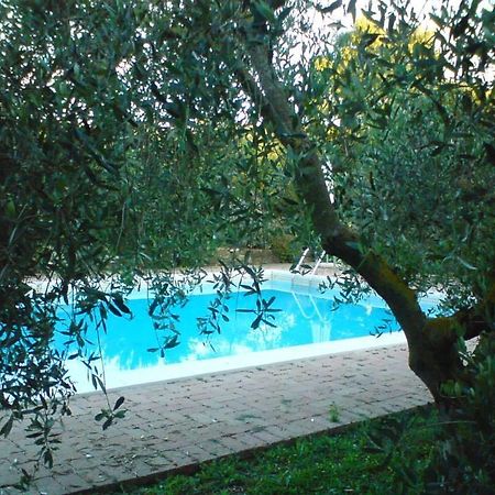 Tenuta Santa Maria Villa Campagnatico Exterior foto