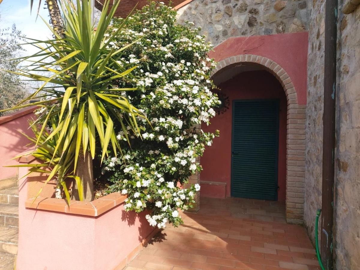 Tenuta Santa Maria Villa Campagnatico Exterior foto