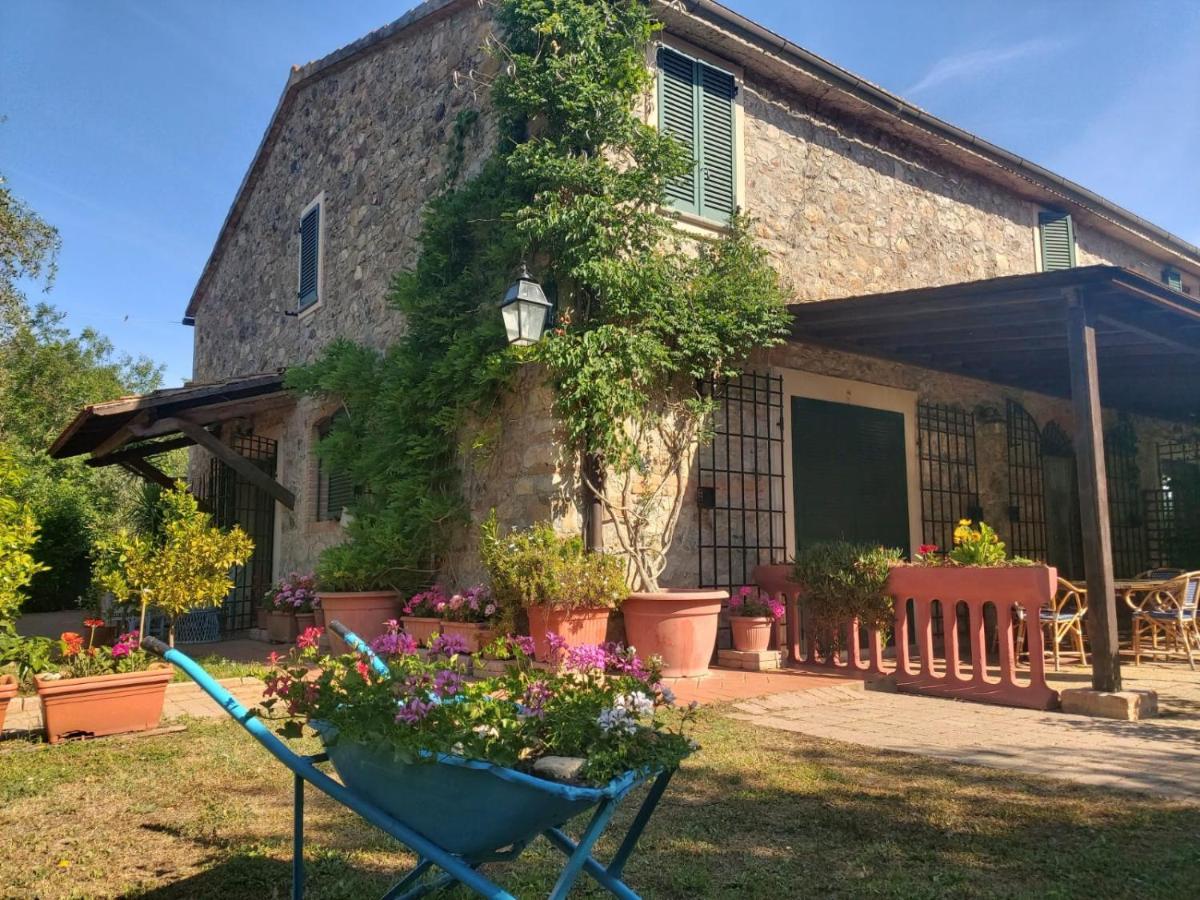 Tenuta Santa Maria Villa Campagnatico Exterior foto