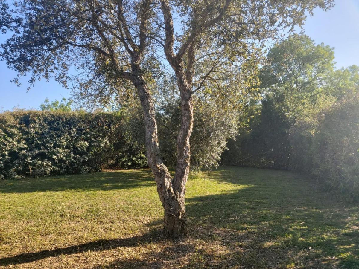 Tenuta Santa Maria Villa Campagnatico Exterior foto